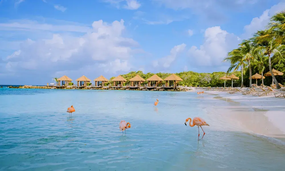 aruba 2