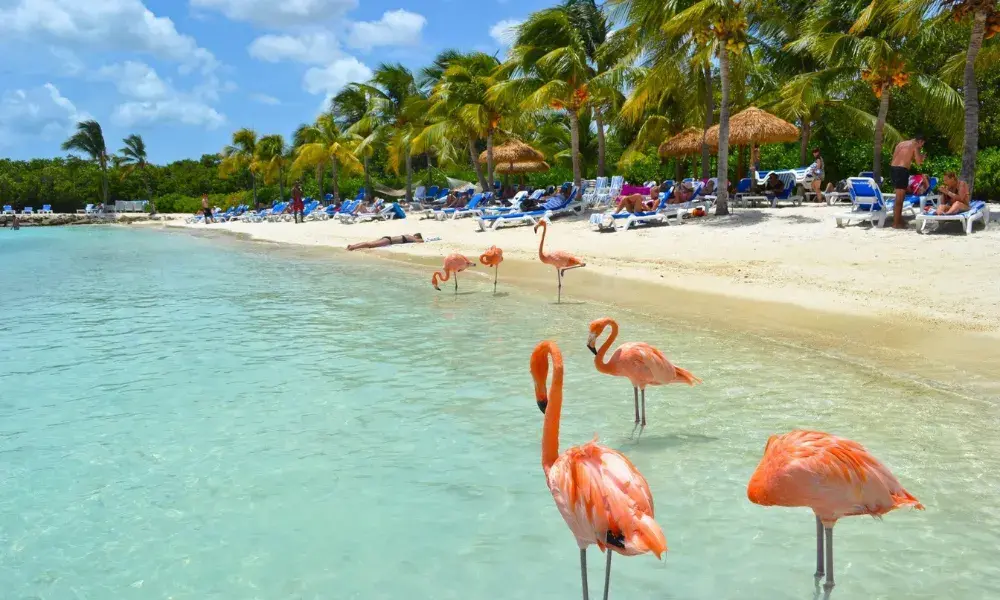 aruba