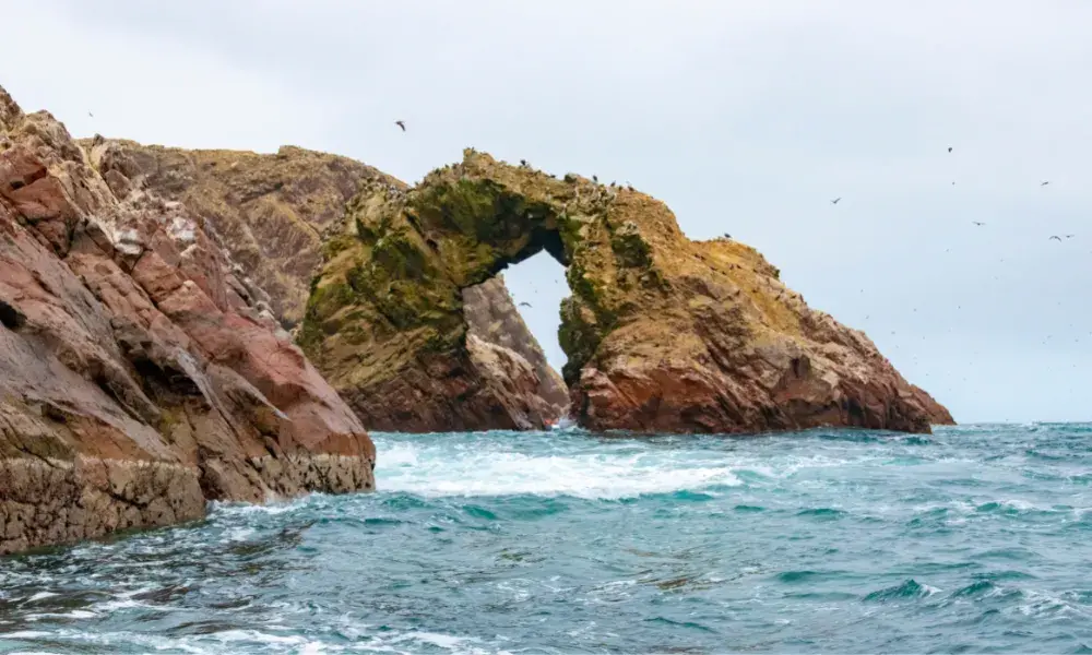 islas ballestas