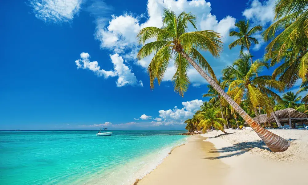 punta cana 2